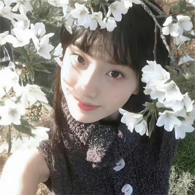 田园春梦 在线观看封面